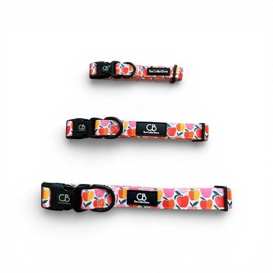 Halston Adjustable Pet Collar in Apple of My Eye