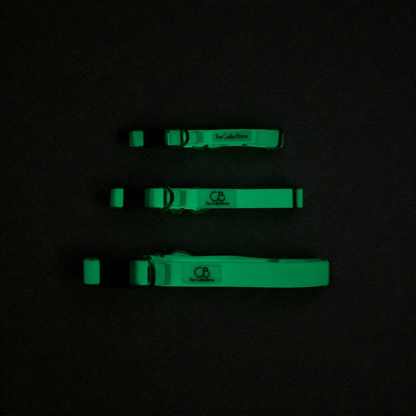 Oceane 2.0 2-in-1 Waterproof Martingale Collar in Tiffany's Afterglow (Glow-in-the-Dark Blue)