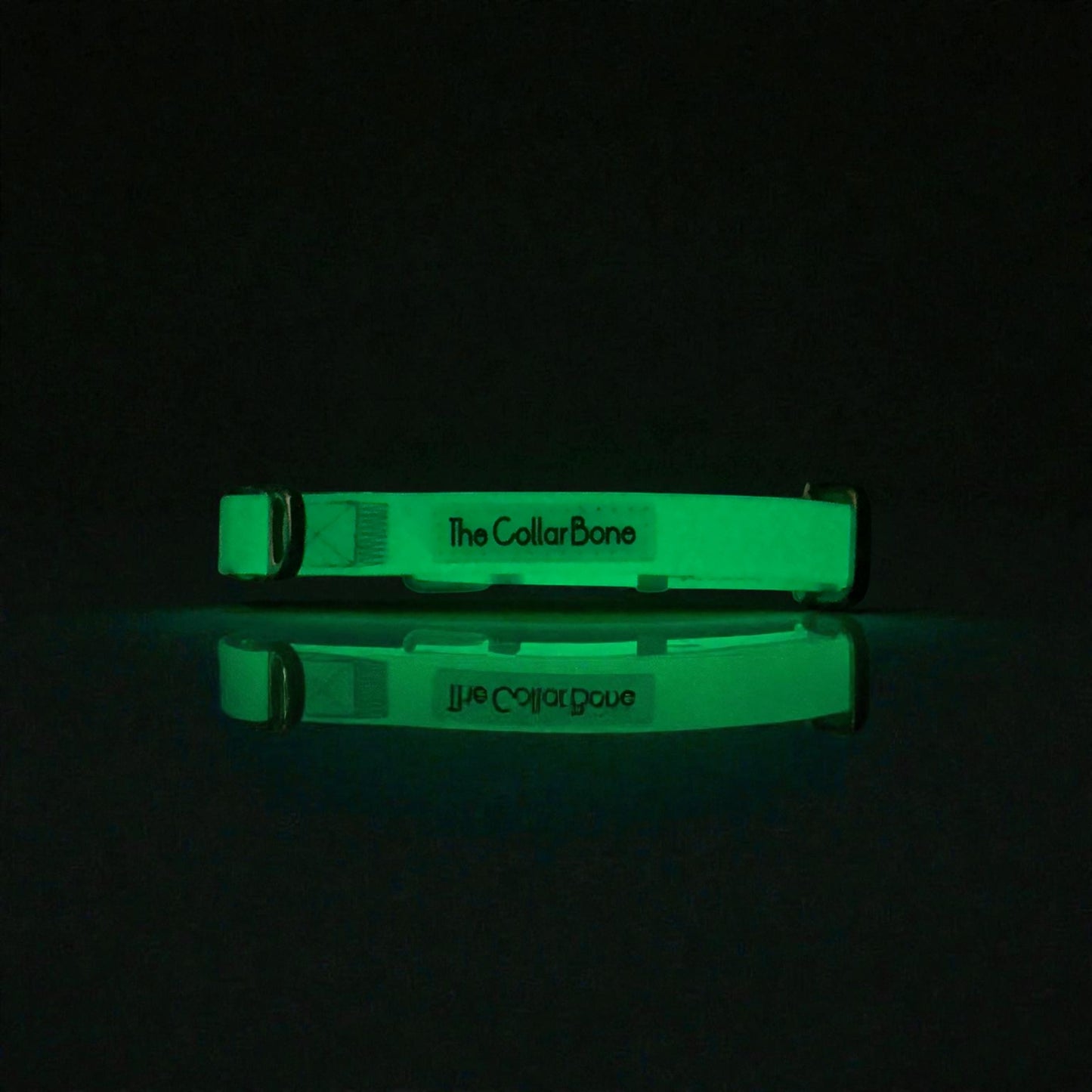 Oceane 2.0 2-in-1 Waterproof Martingale Collar in Tiffany's Afterglow (Glow-in-the-Dark Blue)