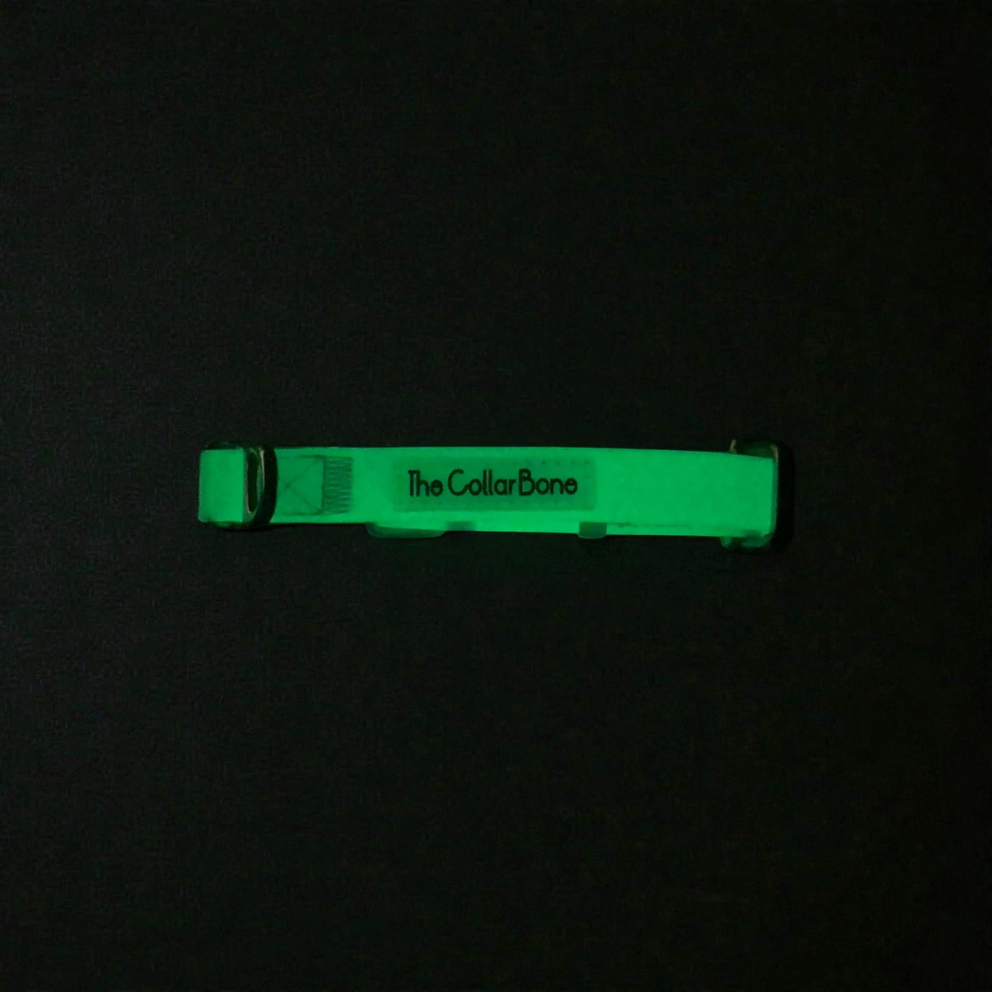 Oceane 2.0 2-in-1 Waterproof Martingale Collar in Tiffany's Afterglow (Glow-in-the-Dark Blue)