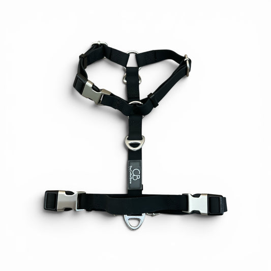Oceane 2.0 Waterproof Y-Harness in Obsidian Black