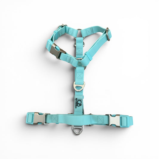 Oceane 2.0 Waterproof Y-Harness in Tiffany's Afterglow (Glow-in-the-dark Blue)