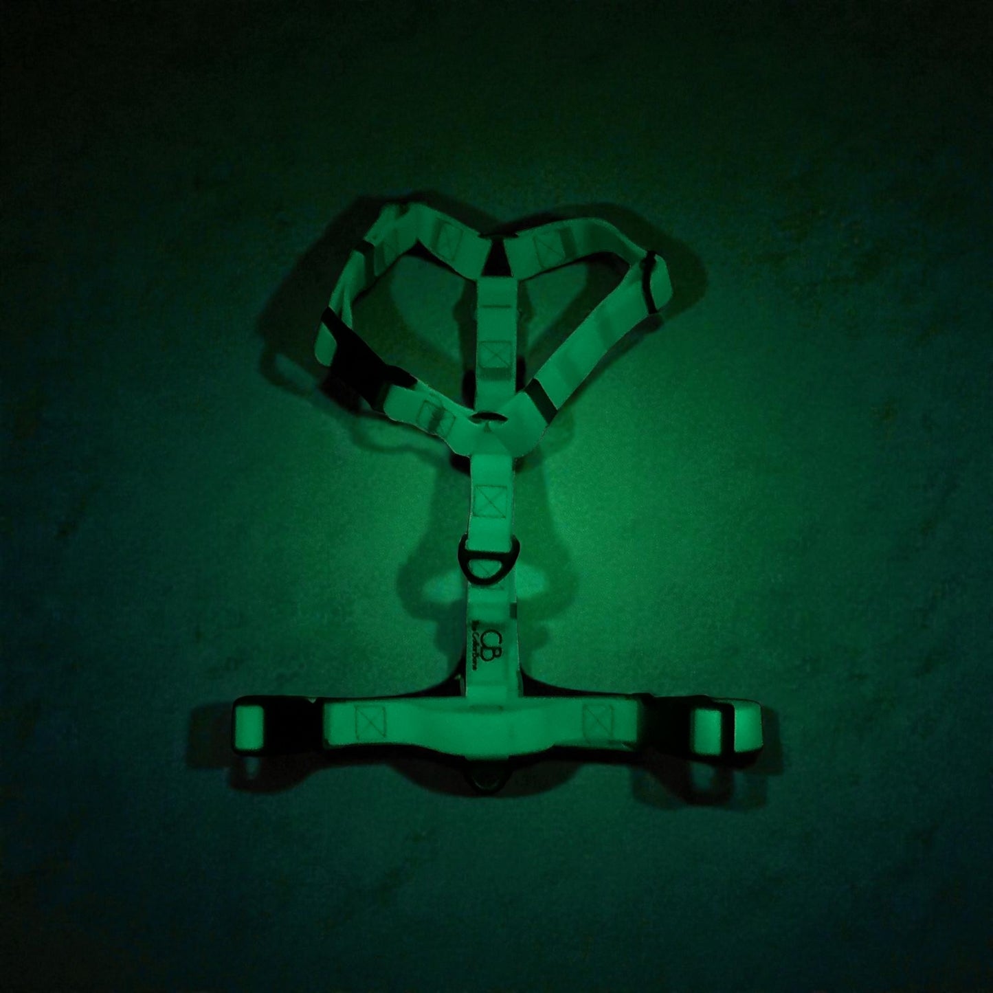 Oceane 2.0 Waterproof Y-Harness in Tiffany's Afterglow (Glow-in-the-dark Blue)