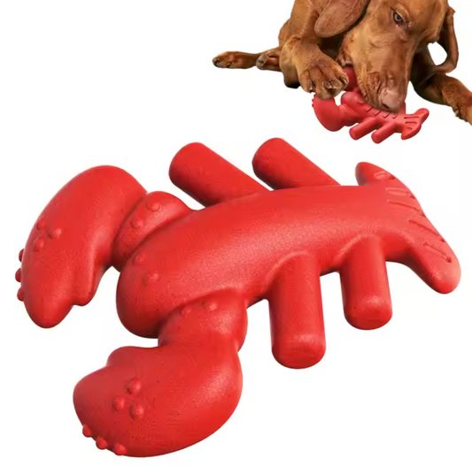 Boston Lobster Nylon and Coffee Chew Toy