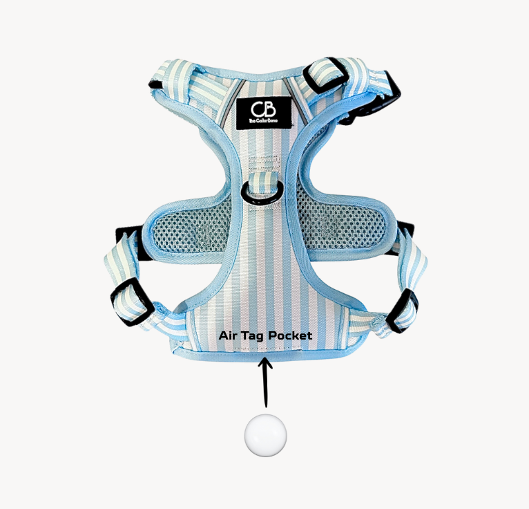 Oxford Active No-Pull Harness in Coastal Blue (Stripes)