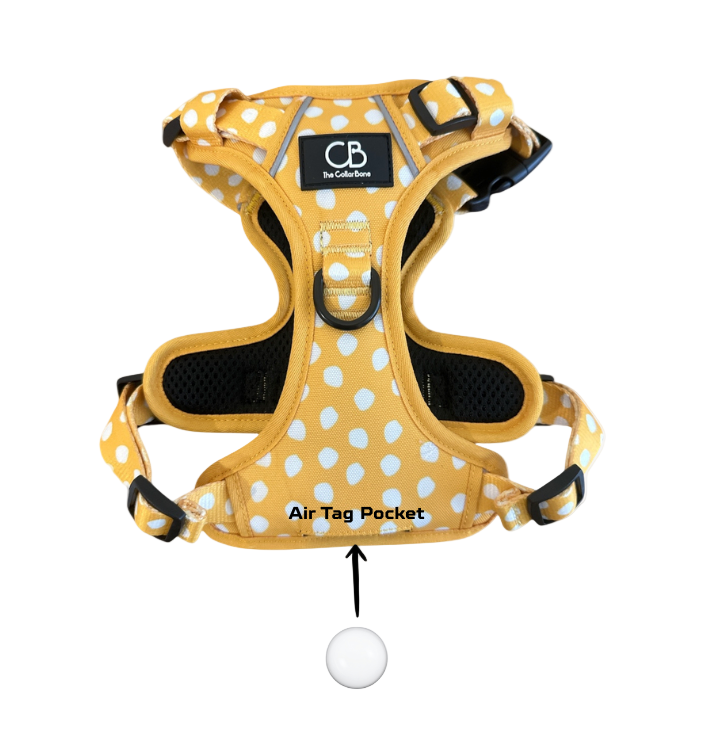 Oxford Active No-Pull Harness in Mustard & Mayo