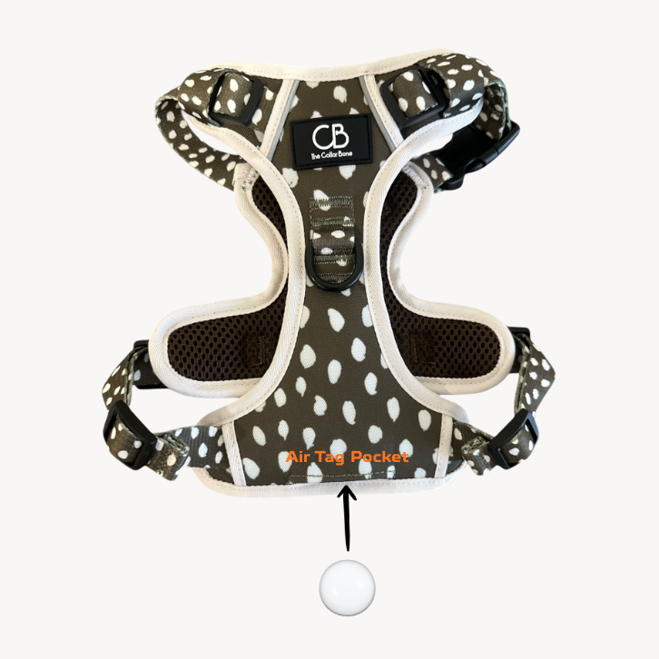 Oxford Active No-Pull Harness in Almonds in Olive