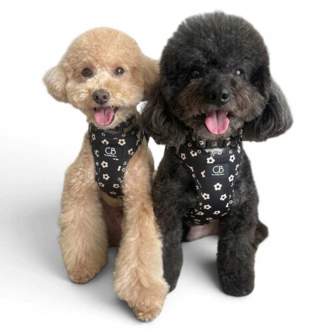 Teeny Step-In Vest/Harness in Black Bloom
