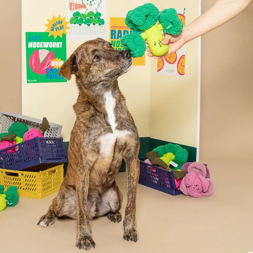 The FurryFolks – Broccoli Nosework Toy