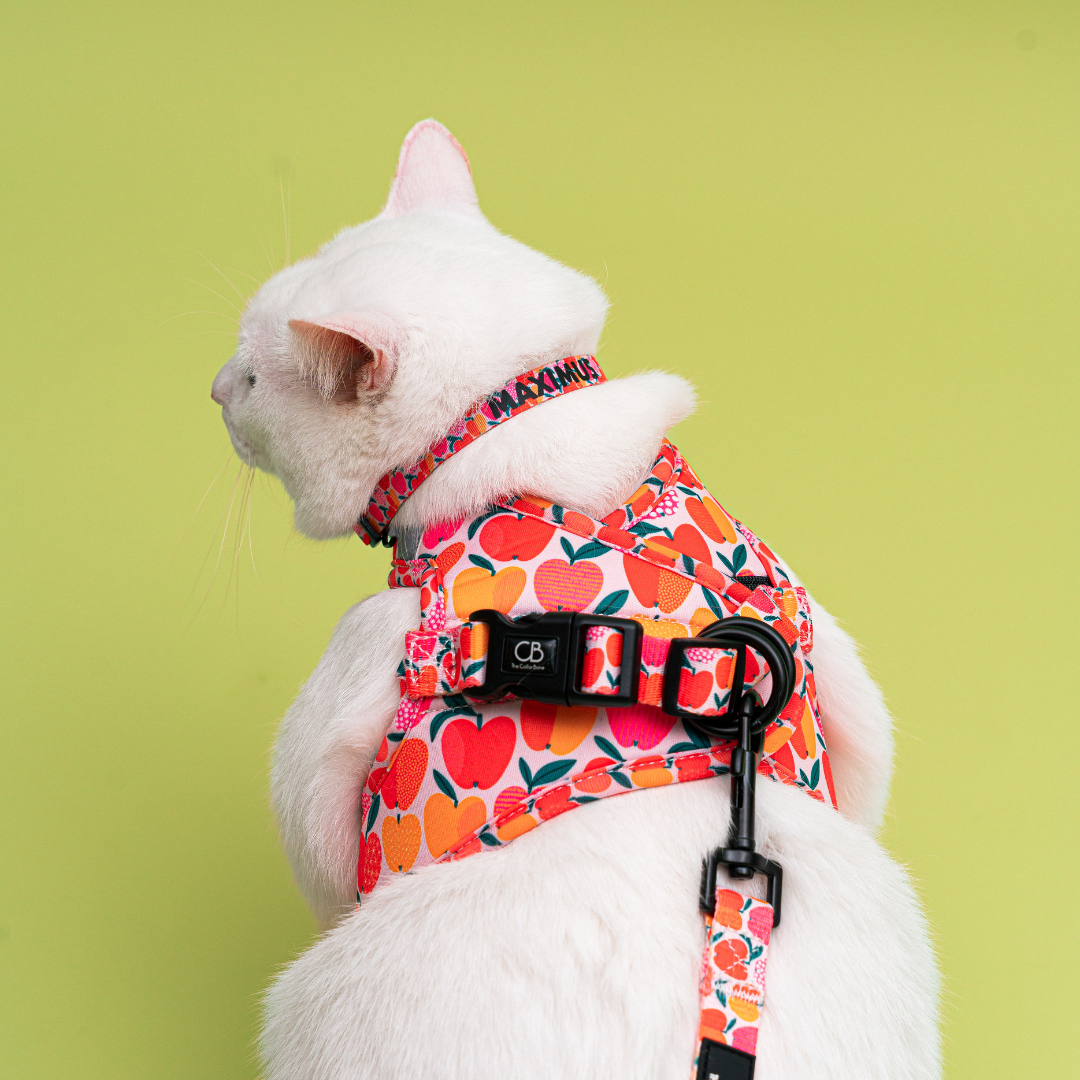Teeny Step-In Vest/Harness in Apple of My Eye
