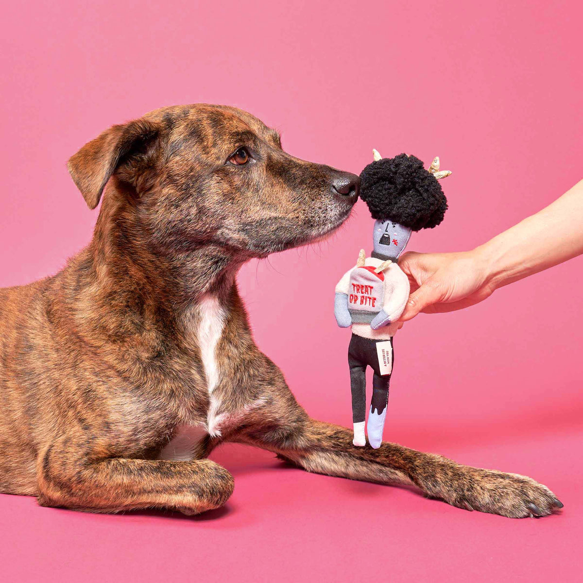 The FurryFolks – Zombie Nosework Toy