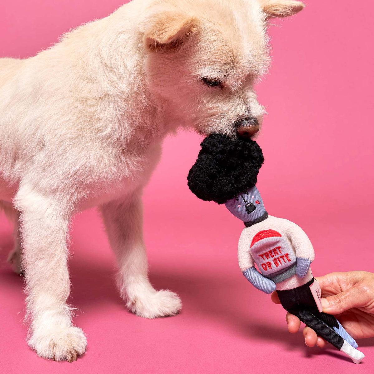 The FurryFolks – Zombie Nosework Toy