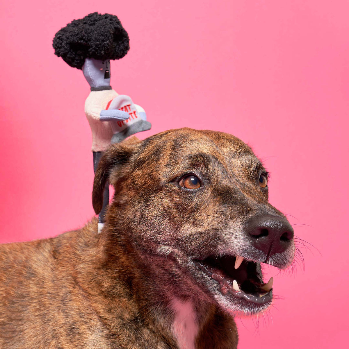 The FurryFolks – Zombie Nosework Toy