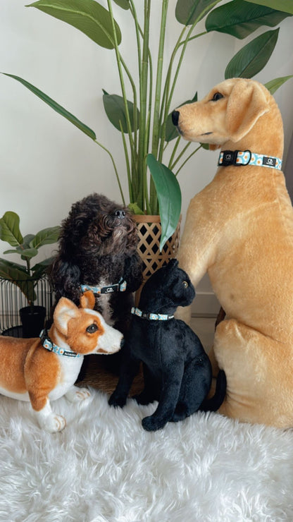 Halston Adjustable Pet Collar in Sunny Side-Up