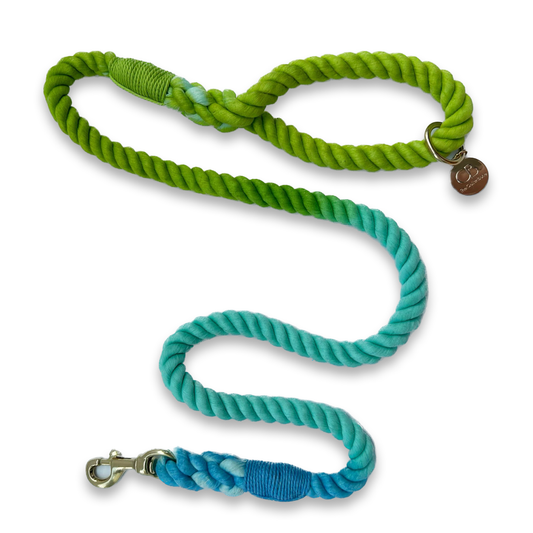 Koko Rope Leash in Ombré Blue & Green