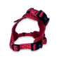 Oxford Active No-Pull Harness in Raspberry Red