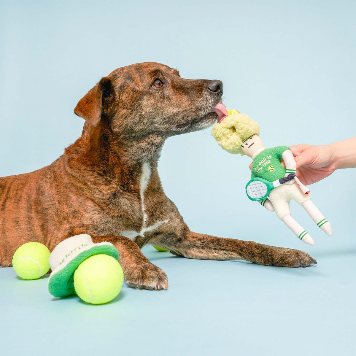 The FurryFolks – Tennis Hooman Nosework Toy