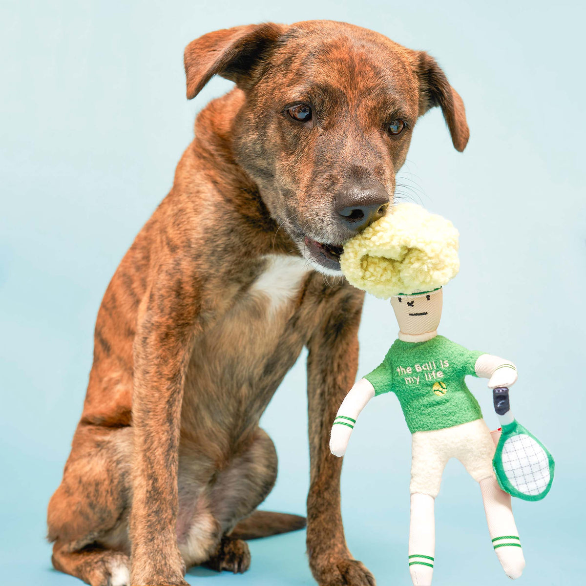 The FurryFolks – Tennis Hooman Nosework Toy