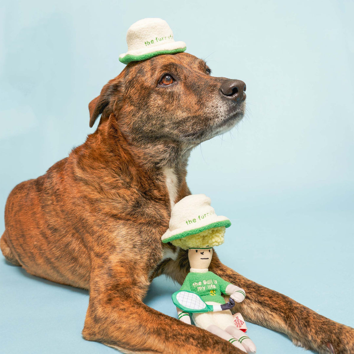 The FurryFolks – Tennis Hooman Nosework Toy