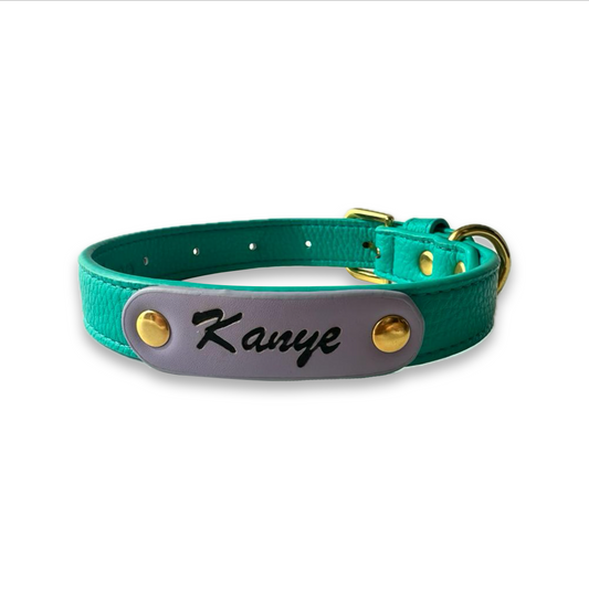Zuri Faux Leather Cat/Dog Collar in Turquoise
