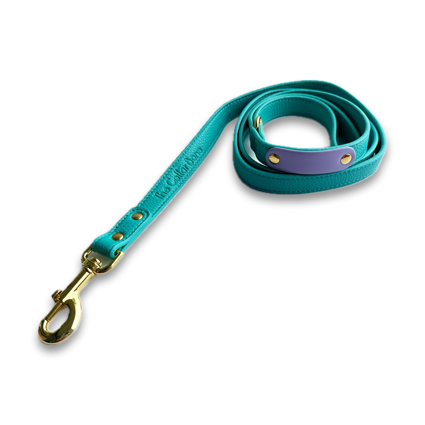 Zuri Faux Leather Cat/Dog Leash in Turquoise