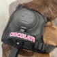 All in one Cruiser no-pull Harness with built-in Retractable Leash