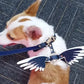 Gabriel's Wings Harness and Leash set in Moonlight & Snow (Ostrich texture)