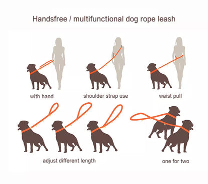 Multiway Handsfree Training Rope Leash in Bubblegum Orange and Blue
