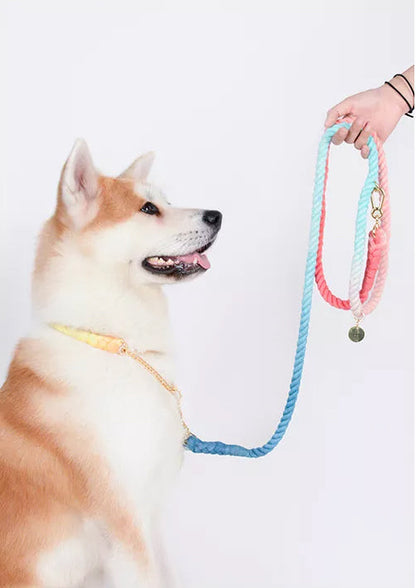 Multiway Handsfree Training Rope Leash in Bubblegum Orange and Blue