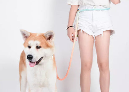 Multiway Handsfree Training Rope Leash in Bubblegum Sea Green and White