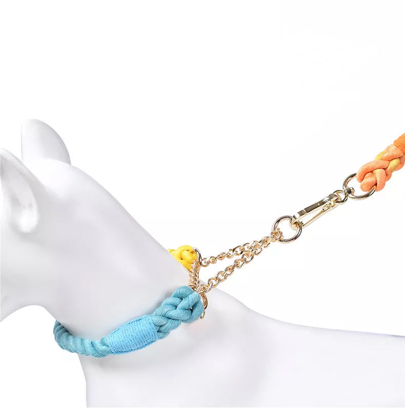 Martingale Rope Training Collar with Gold Chain in Sunset Ombré