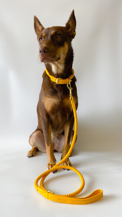 Héra Soft Braided Dog Collar in Mustard Yellow
