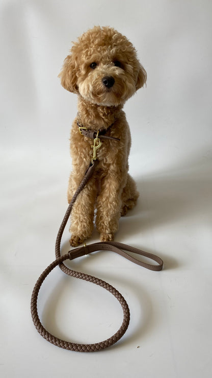 Héra Soft Braided Dog Collar in Mocha Brown