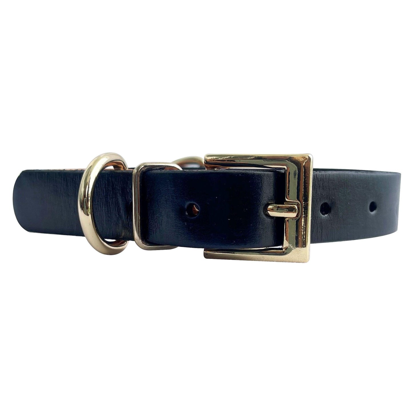 Zeus Dog Collar in Black