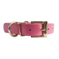 Zeus Dog Collar in Rose Pink