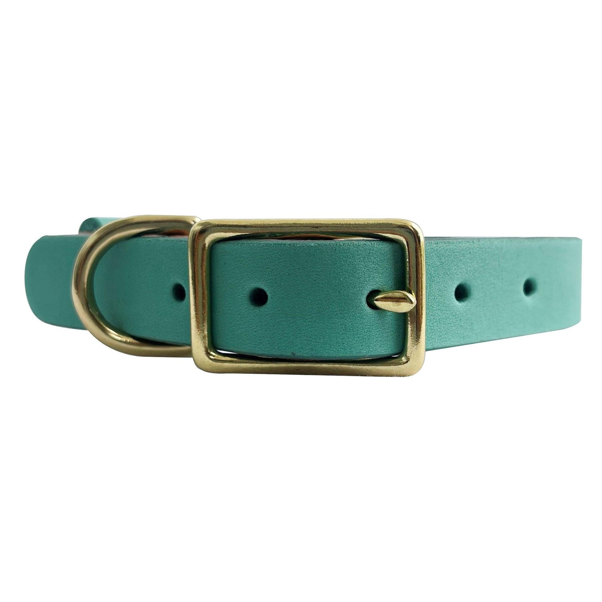 Pandora Dog Collar in Sea Green