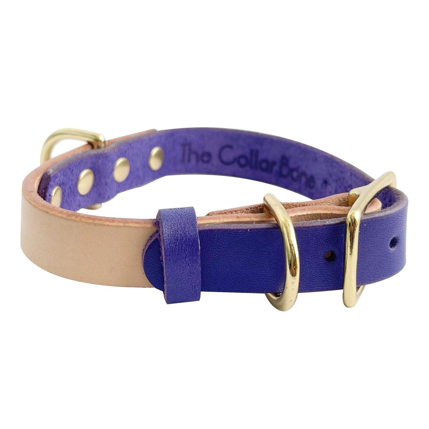 Pandora Dog Collar in Purple