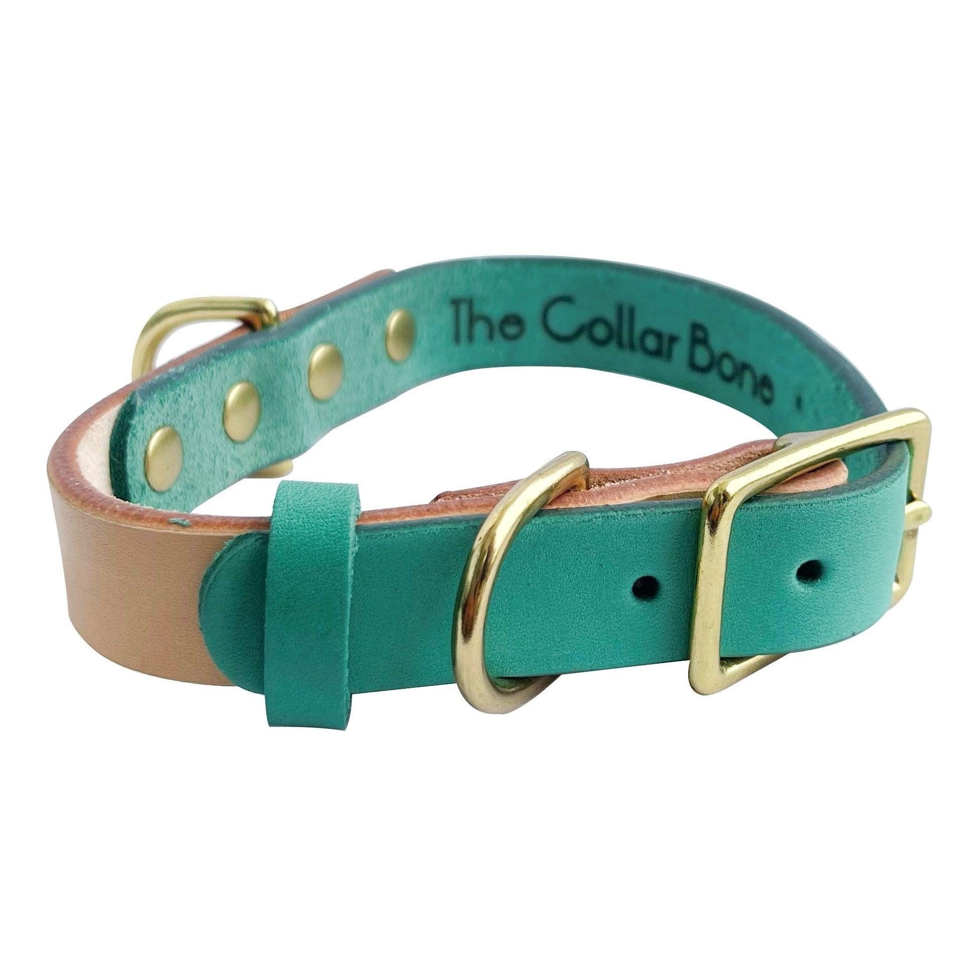 Pandora Dog Collar in Sea Green