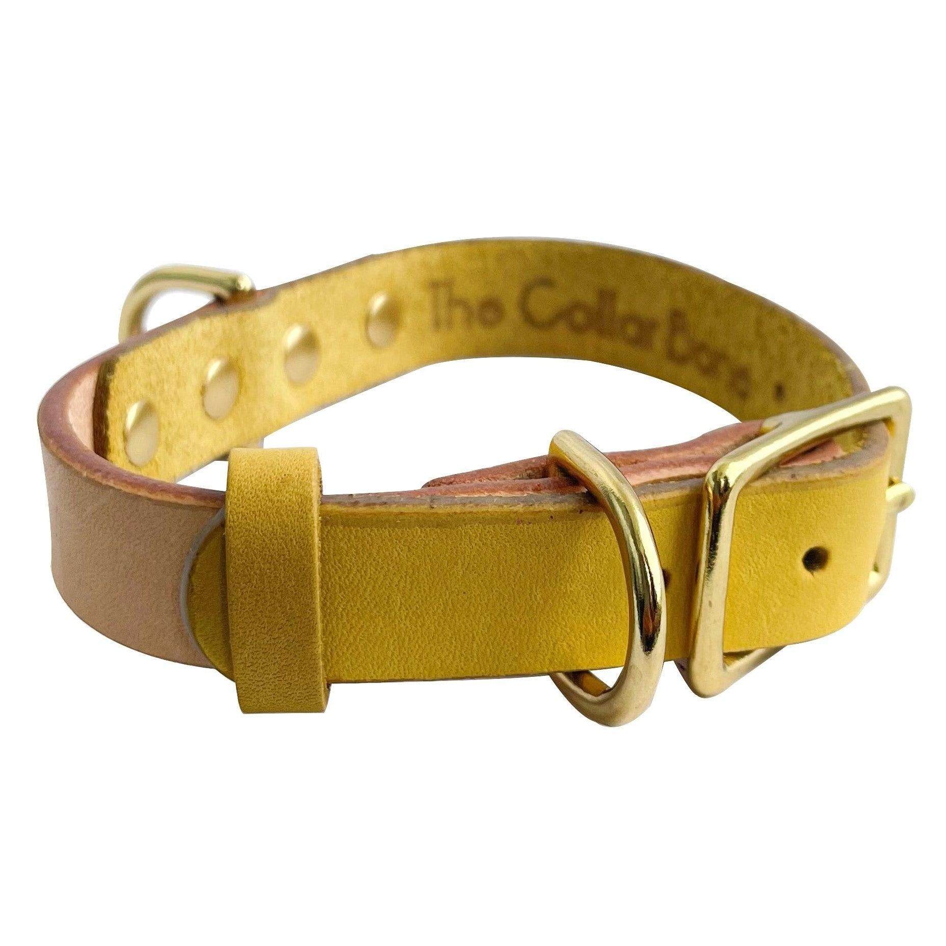Pandora Dog Collar in Yellow