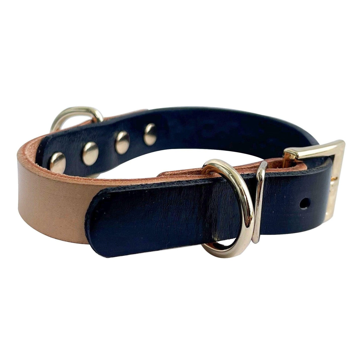 Zeus Dog Collar in Black