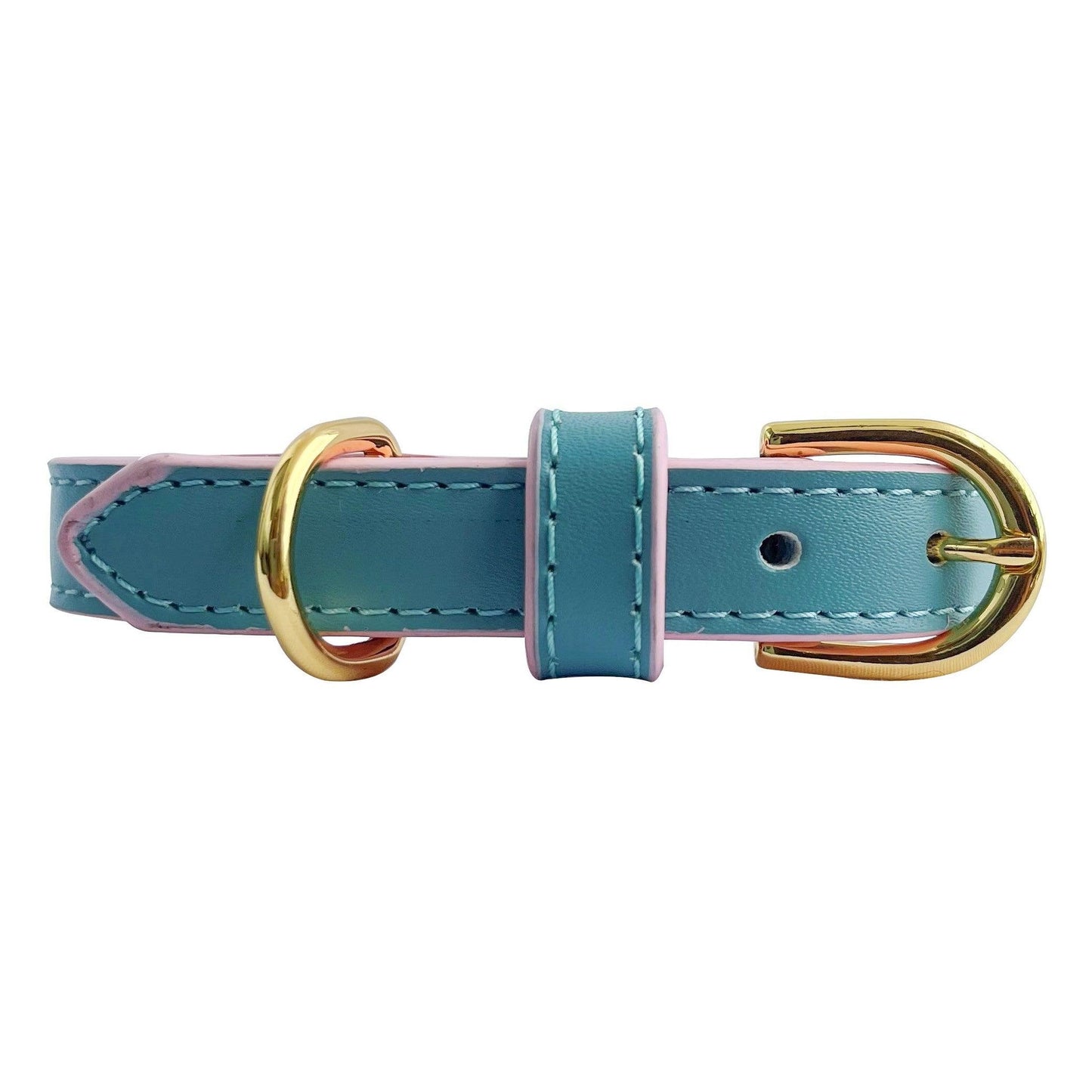 Anthea Dog Collar in Light Blue with Violet Trimmings