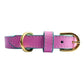 Anthea Dog Collar in Pink with Light Blue Trimmings