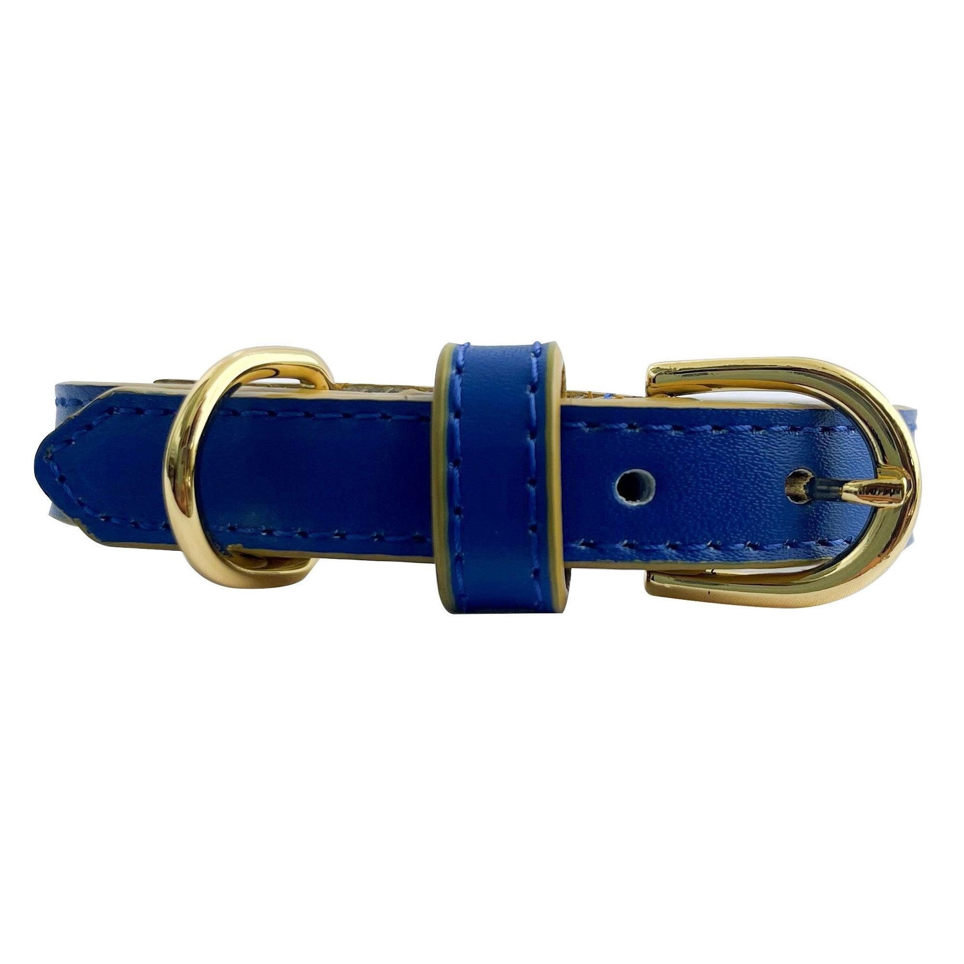 Anthea Dog Collar in Blue with Yellow Trimmings