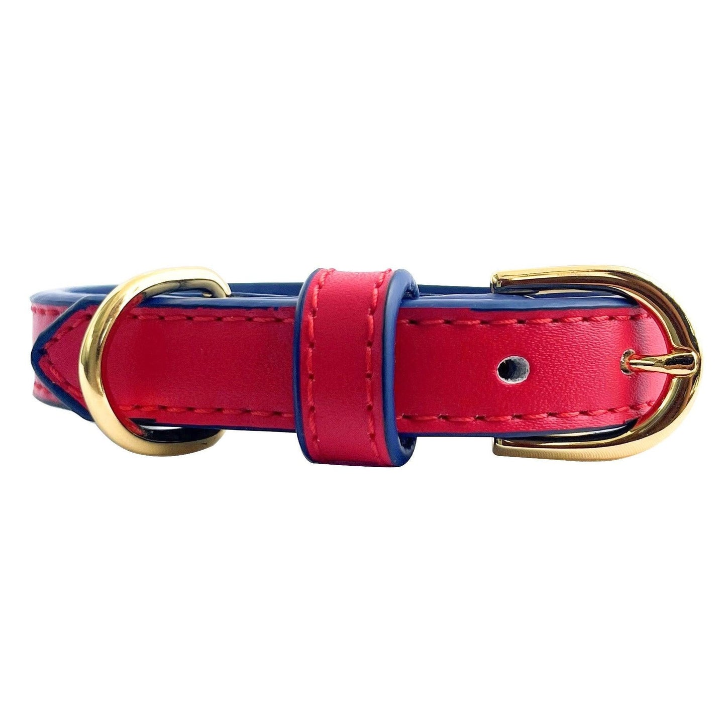 Anthea Dog Collar in Red with Blue Trimmings