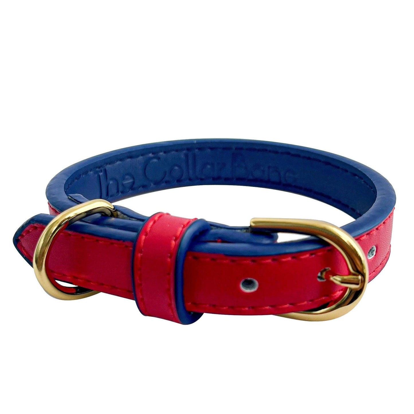 Anthea Dog Collar in Red with Blue Trimmings