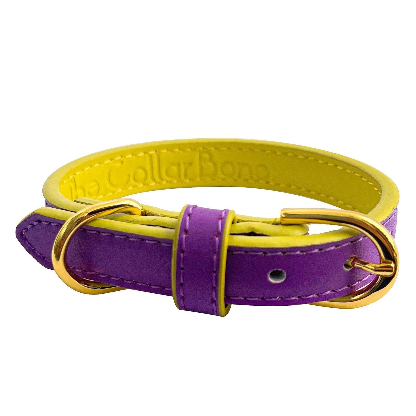 Anthea Dog Collar in Purple with Yellow Trimmings