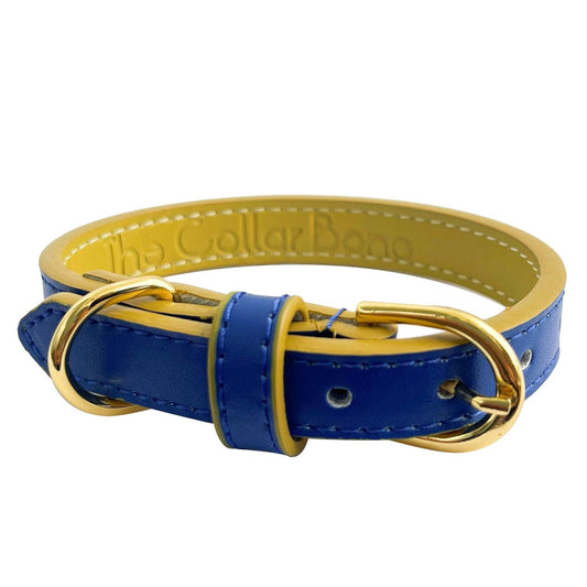 Anthea Dog Collar in Blue with Yellow Trimmings
