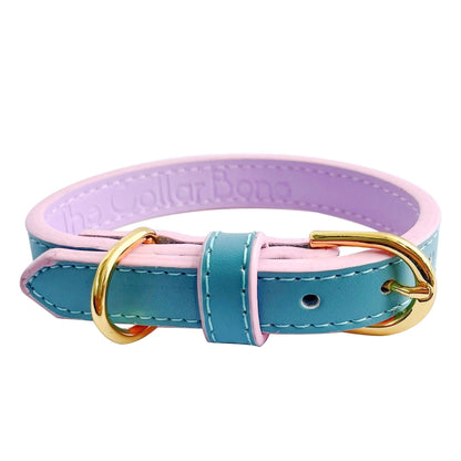 Anthea Dog Collar in Light Blue with Violet Trimmings