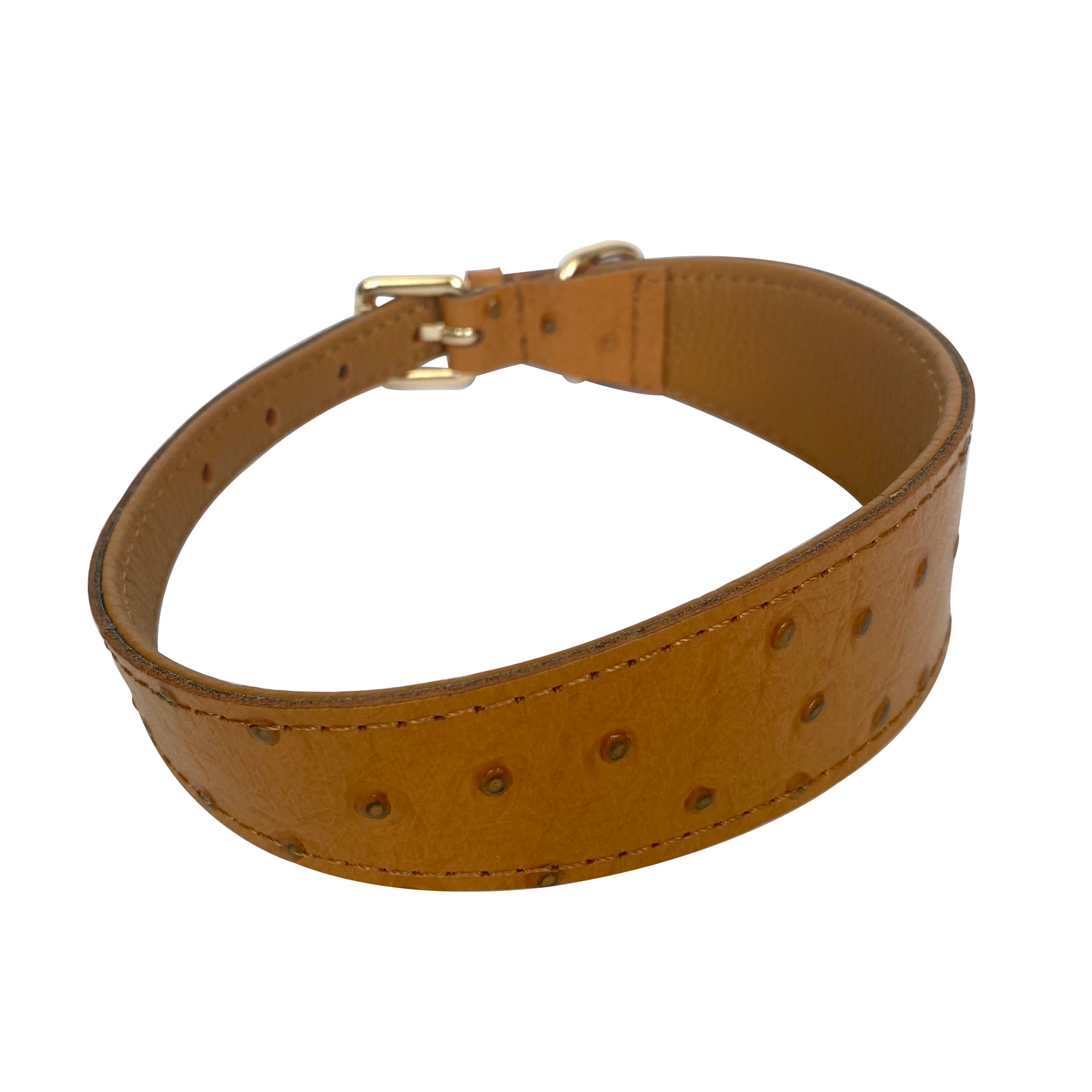 Harper Wide Leather Dog Collar in Caramel