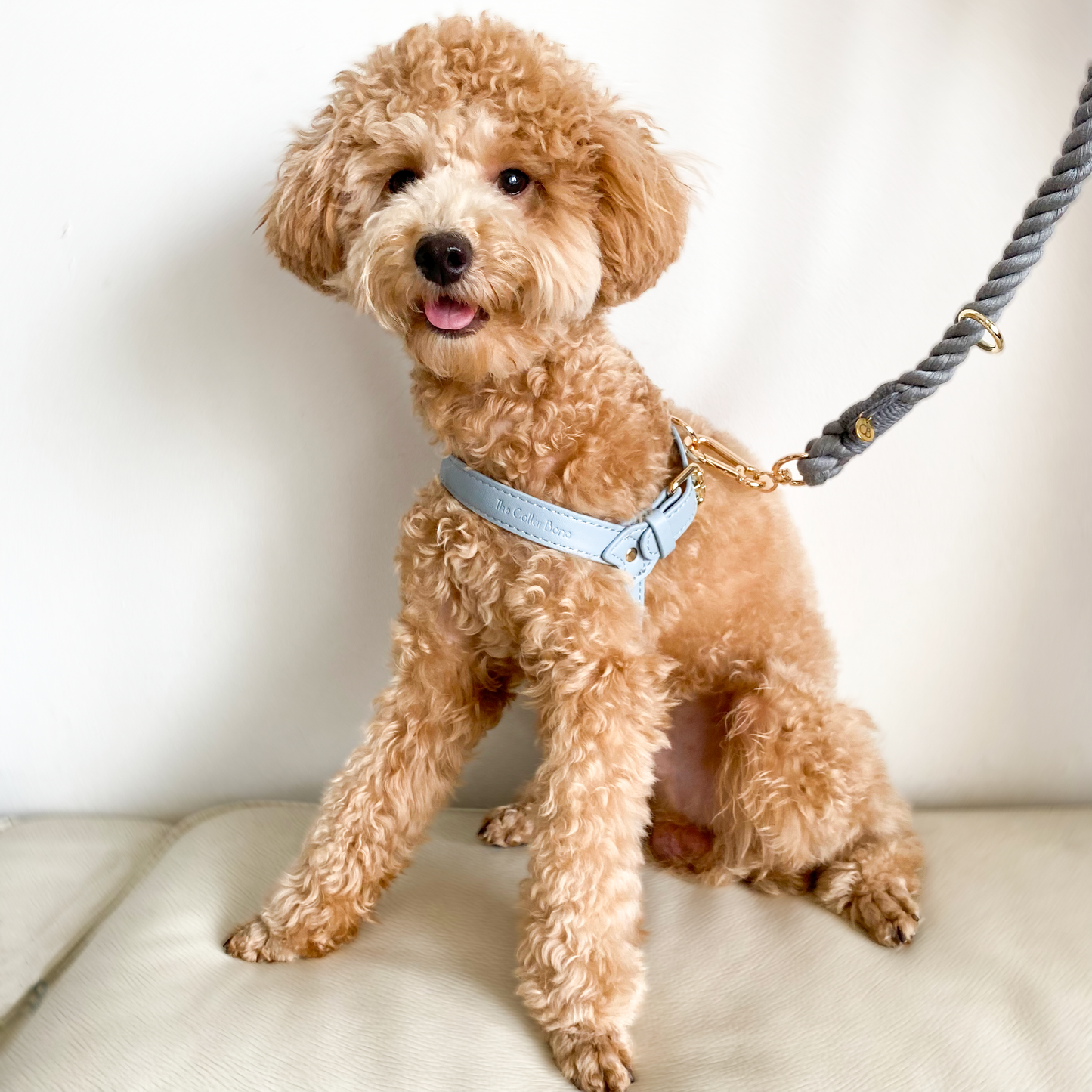 Kloé Step-in Dog Harness in Cloud Blue